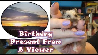 Debbie's Birthday Gifts From One Of Our Wonderful Viewers - Journey Into The Realm