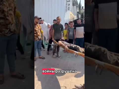 Газа и выживание #политика #новости #сша #израиль #секторгаза #газа #нетаньяху #палестина #жизнь