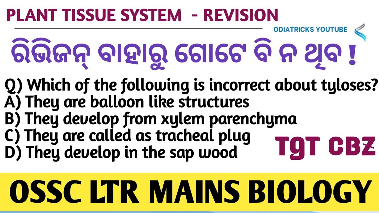 Plant Tissue System Super Revision 02 - OSSC LTR MAINS BIOLOGY TGT CBZ
