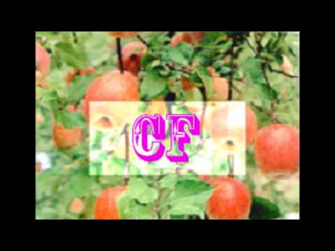 2017南面而歌 發行篇