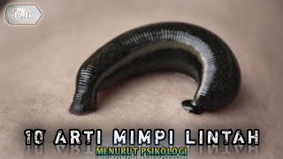 10 ARTI MIMPI LINTAH ❕ PERTANDA APA ❓