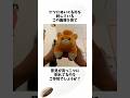 パモのぬいぐるみで割れた意見#ポケモン#パモ#意見#shortsfeed #voicevox