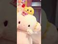 聖地【ピューロ】でこぎみゅんに誓った独占欲。| キャラ大day.4 #サンリオキャラクター大賞 #こぎみゅん #sanrio