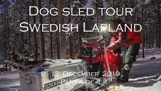 Four days dog sled tour in Swedish Lapland || Part 4 of 4
