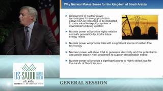 Business Forum: Nuclear & Renewable Energy - Bernhard