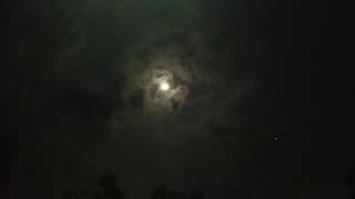 Midnight Moon 🌛......