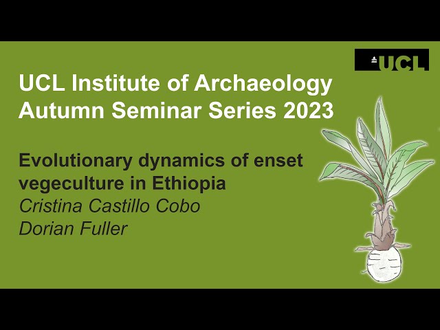 Watch Evolutionary dynamics of enset vegeculture in Ethiopia | Cristina Castillo Cobo & Dorian Fuller on YouTube.