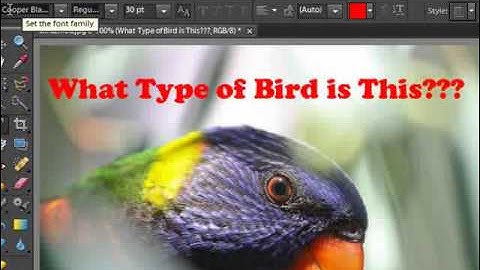 How to Edit Text in in Photoshop Elements
