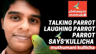 Talking parrot|Laughing parrot |parrot says'kullicha muthumanni kullicha