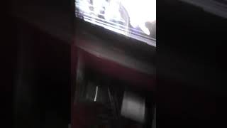 Raromagedon Parte 3 Recuperar Gravity Falls