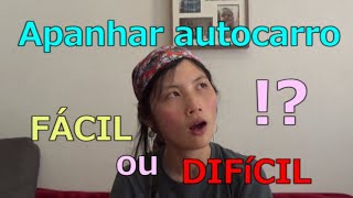 História do autocarro🚌🚌🚌