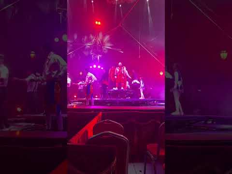 السيرة في سيتي هوب 