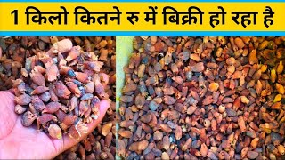 महुआ की कीमत क्या है 1 किलो | महुआ फूल | mahua kitne rupaye me bikri ho raha hai | 18 अप्रैल 2025