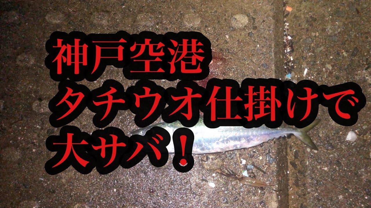 神戸空港タチウオ仕掛けで大サバにタチウオ Fishingmax神戸ハーバー店 Youtube