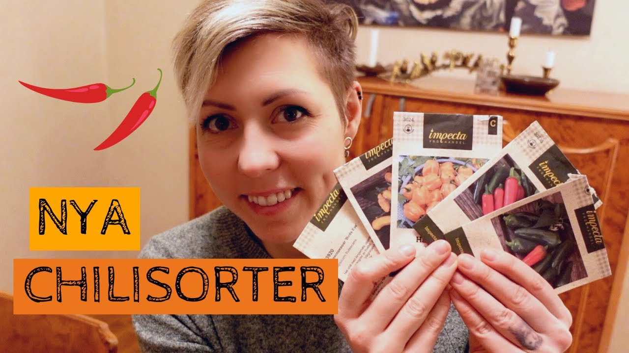 Nya chilisorter - dags att så chili för att få skörd i sommar och jalapeno är min favorit