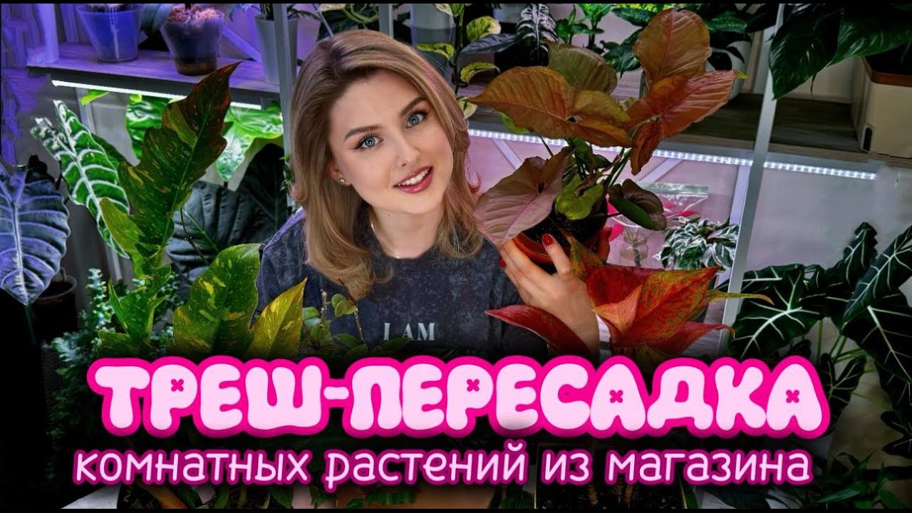 Всё пошло не по плану! 😱 КАК Я СПАСАЛА НОВЫЕ РАСТЕНИЯ🌿