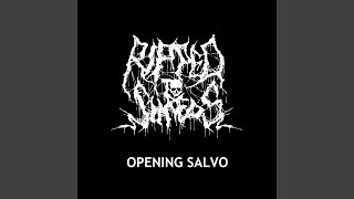Opening Salvo