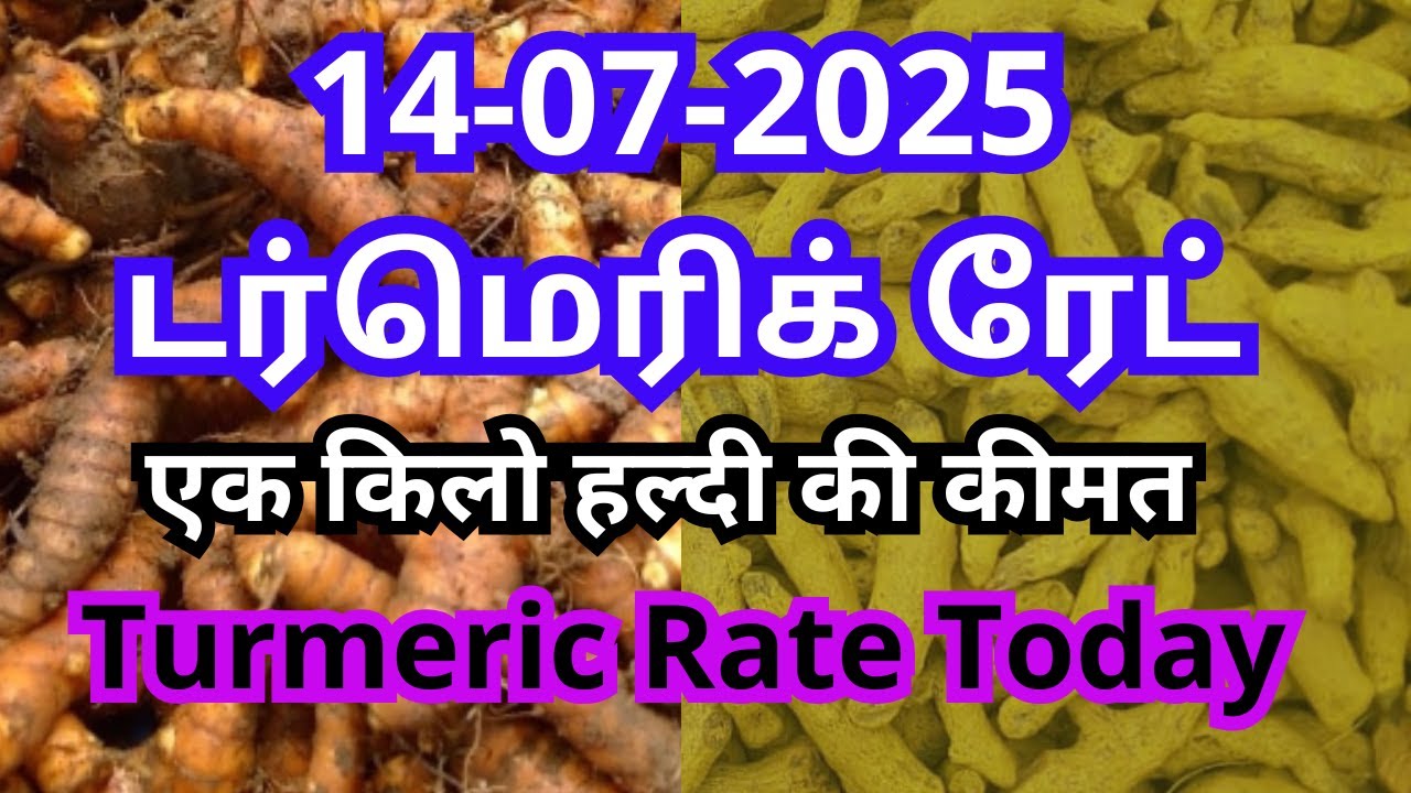 Get The Latest Turmeric Rates, Mandi Arrivals, And What Traders Are ...