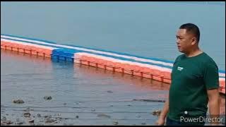 mawar  Tak  berduri  ipank  ...