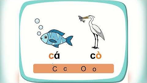 Bài 1B: c, o - Tiếng Việt 1- Bộ sách “Cùng học để phát triển năng lực”
