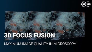 Bruker 3D FocusFusion | Maximum image quality in Raman and FT-IR microscopy | Feature showcase