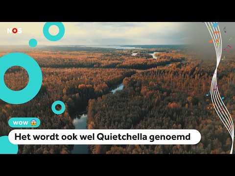 Festival in Finland with only nature sounds