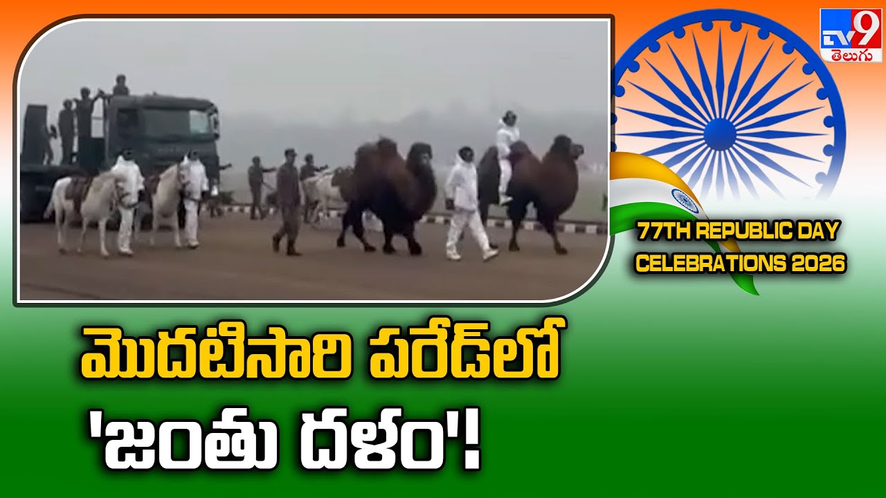 మొదటిసారి పరేడ్‌లో 'జంతు దళం'! | Historic Debut of Animal Contingent at Republic Day 2026 - TV9