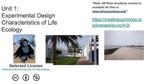 Ecology and Experimental Design 2019