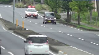 取締り 指定場所一時不停止等違反