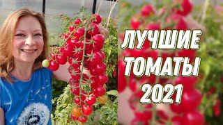 ЛУЧШИЕ СОРТА И ГИБРИДЫ ТОМАТОВ ПО ИТОГАМ 2021 ГОДА! САМЫЙ ЧЕСТНЫЙ ОБЗОР, 18+