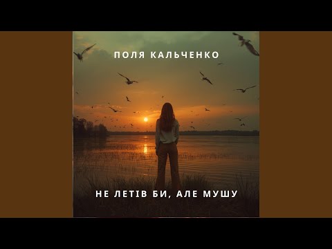 Не летів би але мушу