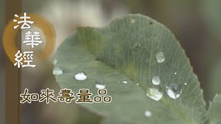 【靜思妙蓮華】法華經如來壽量品 - 所作佛事 未曾暫廢 - 20231018 第1526集