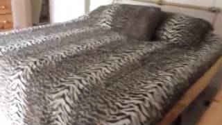 Haeuser Bonita Springs Kaufen