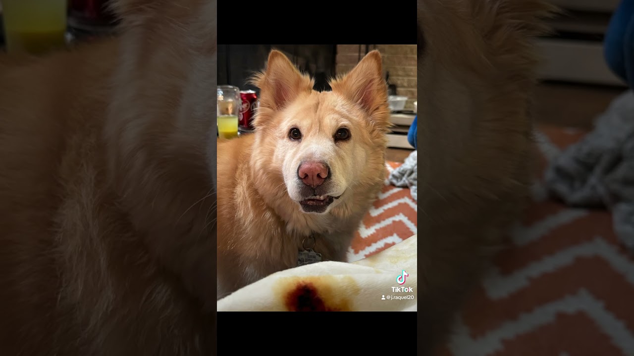 Get you a girl that can do both!