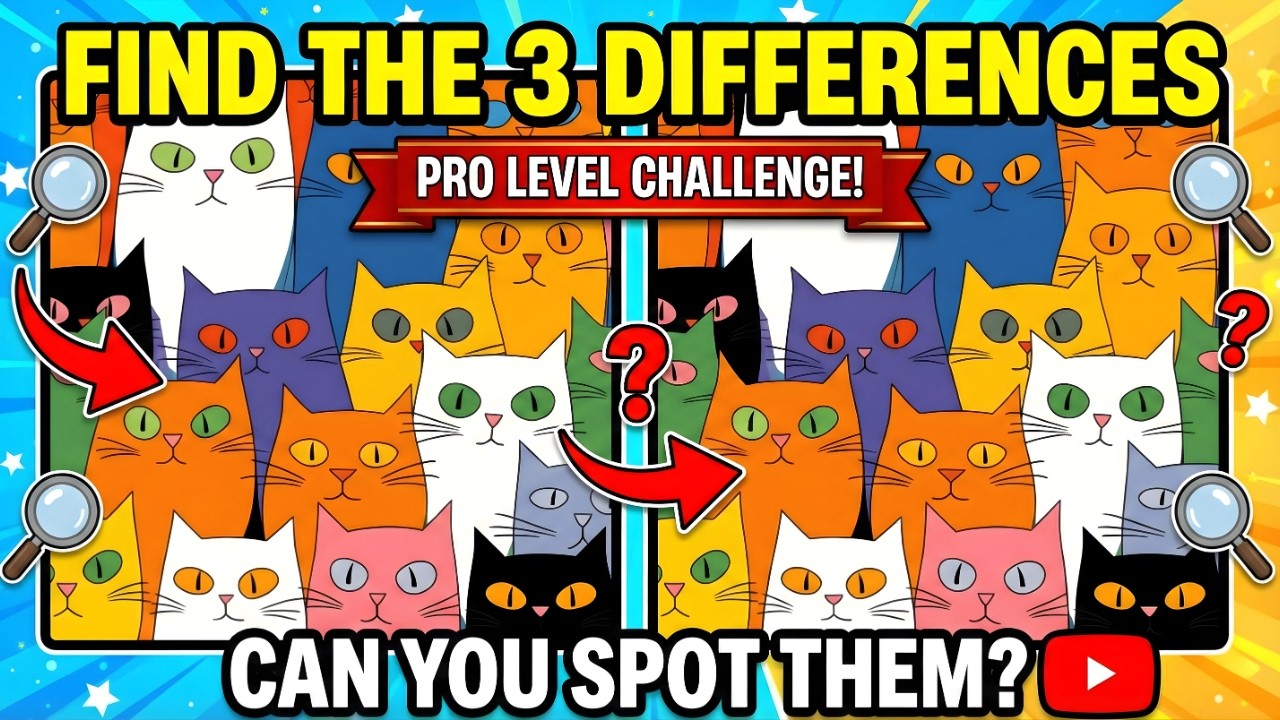 Spot the 3 Hidden Differences