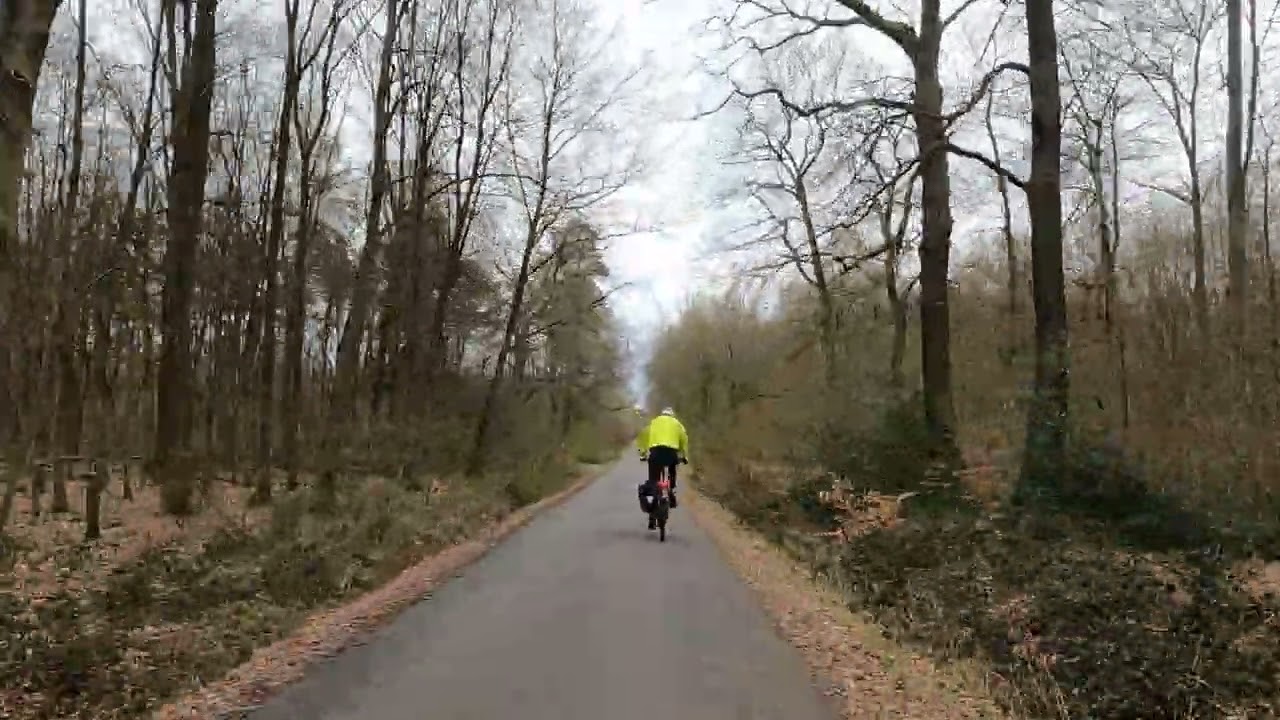 Fahrt durch den Kottenforst bei Bonn