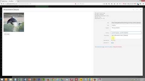 How to Crop and Scale Images in WordPress