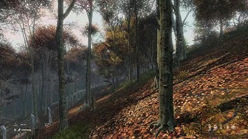 Brads 1st Sval kill, noice.