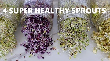 Hoe je thuis spruitjes kweekt | 4 supergezonde spruitjes