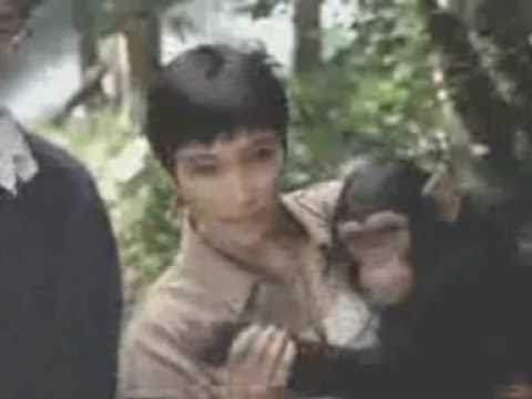 香港中古廣告: diners大來信用證(小猴子篇)1991