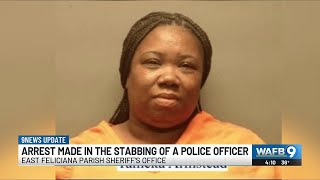 Arrest made following stabbing attack on Wilson assistant police chief