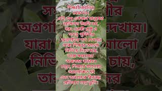 #শিক্ষাই_জাতির_মেরুদণ্ড#শিক্ষার_আলো#EducationForAll#SpreadEducation#StopIgnorance#StandForTruth#