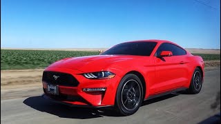 V6 Mustang Vs Mustang Ecoboost