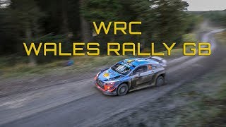 Wrc Wales Rally 2018 - Sweet Lamb Hafren.