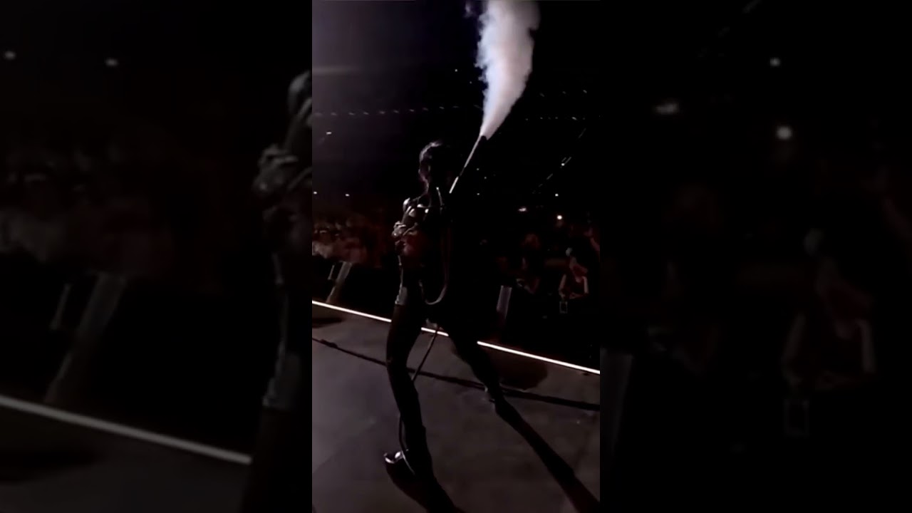 MUSE -06- Propaganda - Concert Simulation Theory 2019 - VERTICALE CLIPS