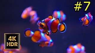4K Oceanic Serenity - TRAVELING-NATURE-RELAX #7