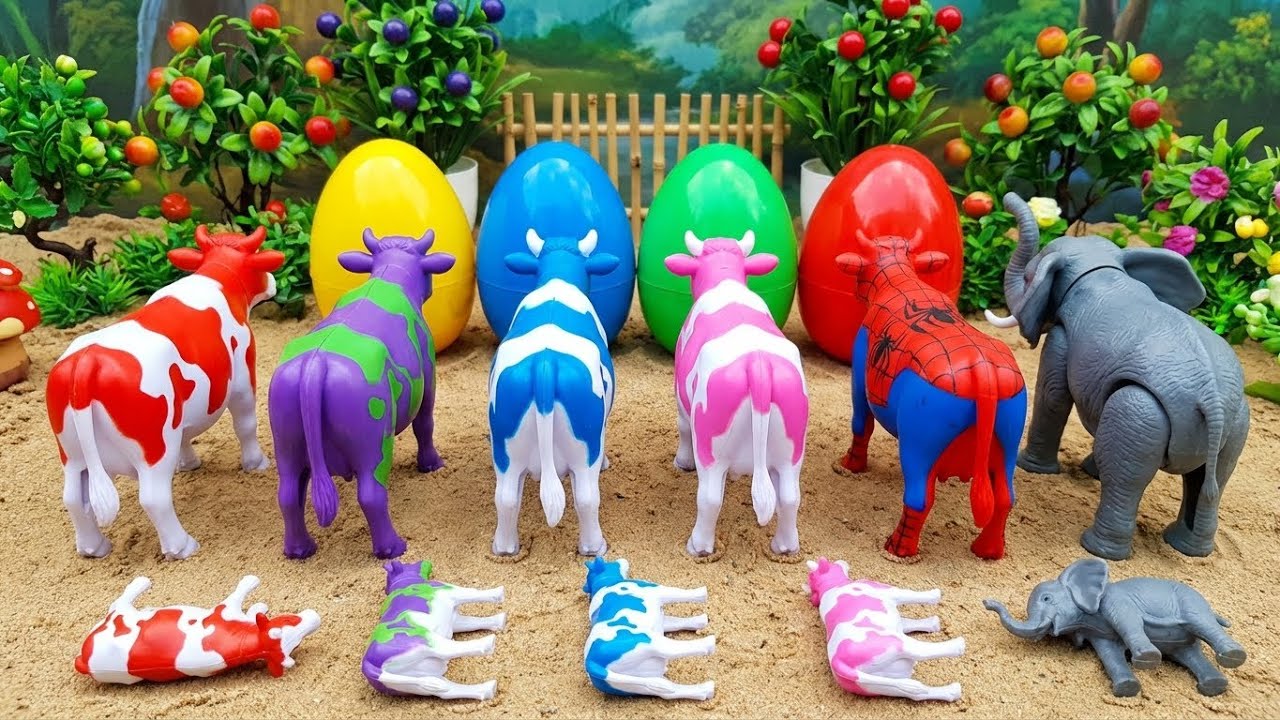 ВАДИДАУ‼️ПРОЦЕСС ЖЕРТВЕННОГО УБОЕНИЯ КОРОВ | ПРОЦЕСС КЕСАРЕВОГО СЕЧЕНИЯ ДЛЯ КОРОВ И ОВЕЦ | Видео ...