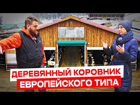 Деревянный коровник на ферме «Швейцарское молоко» | Молочное животноводство