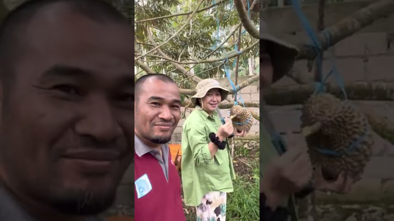 Sore2 ibuk dona panen durian bawor