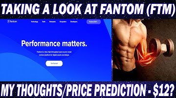Taking a Look at FANTOM (FTM) Coin | Awesome Technology, Highly Undervalued | Price Prediction $12?